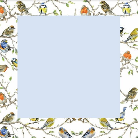 Aviary Bliss Head Scarf