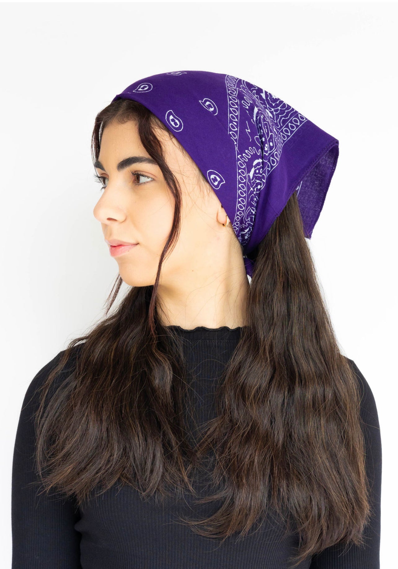 Blue/purple Bandana (smaller scarf)