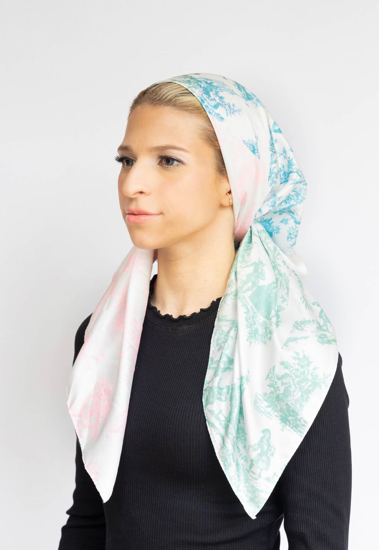 Pastel Toile